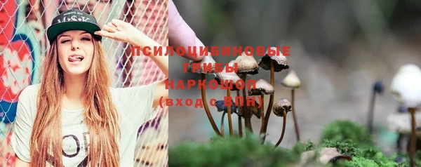 крисы Баксан
