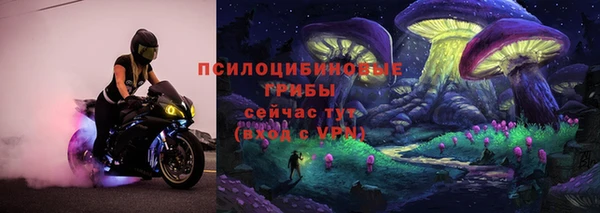 индика Балабаново