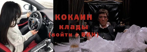 индика Балабаново