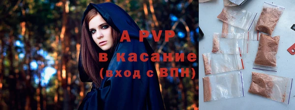прущие грибы Балахна