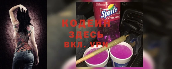 прущие грибы Балахна
