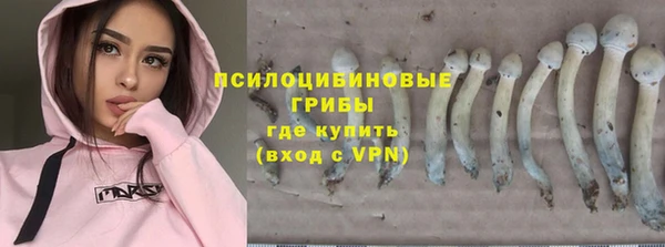 прущие грибы Балахна