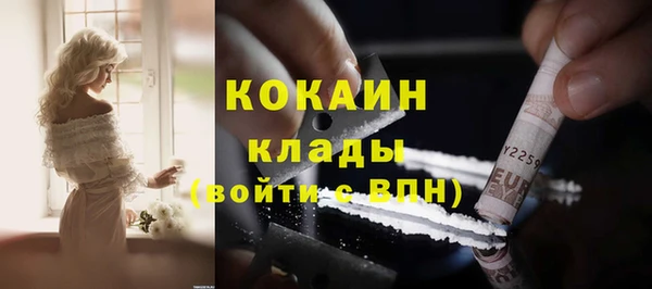 индика Балабаново