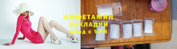 прущие грибы Балахна