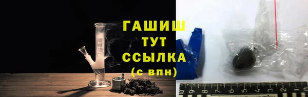 прущие грибы Балахна