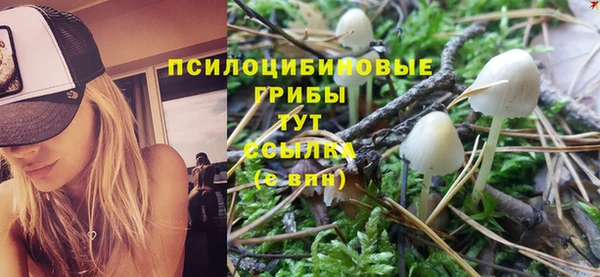 прущие грибы Балахна