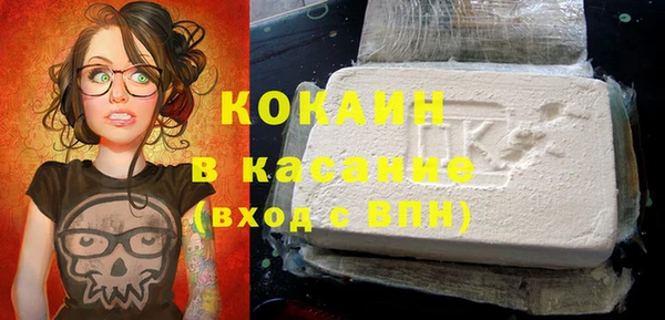 крисы Баксан