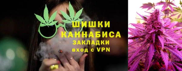 прущие грибы Балахна