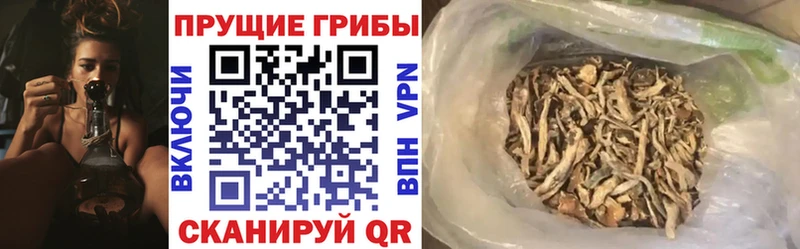 Псилоцибиновые грибы мухоморы  Севск 