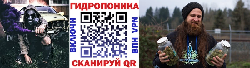 Конопля гибрид Севск